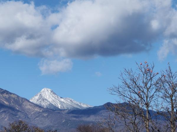 山梨