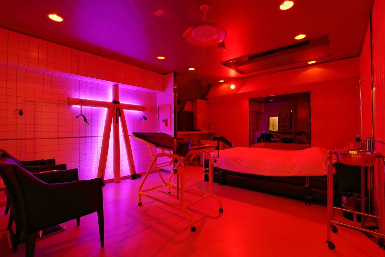 麻布十番 Fashion Hotel ALPHA-IN 客室全景