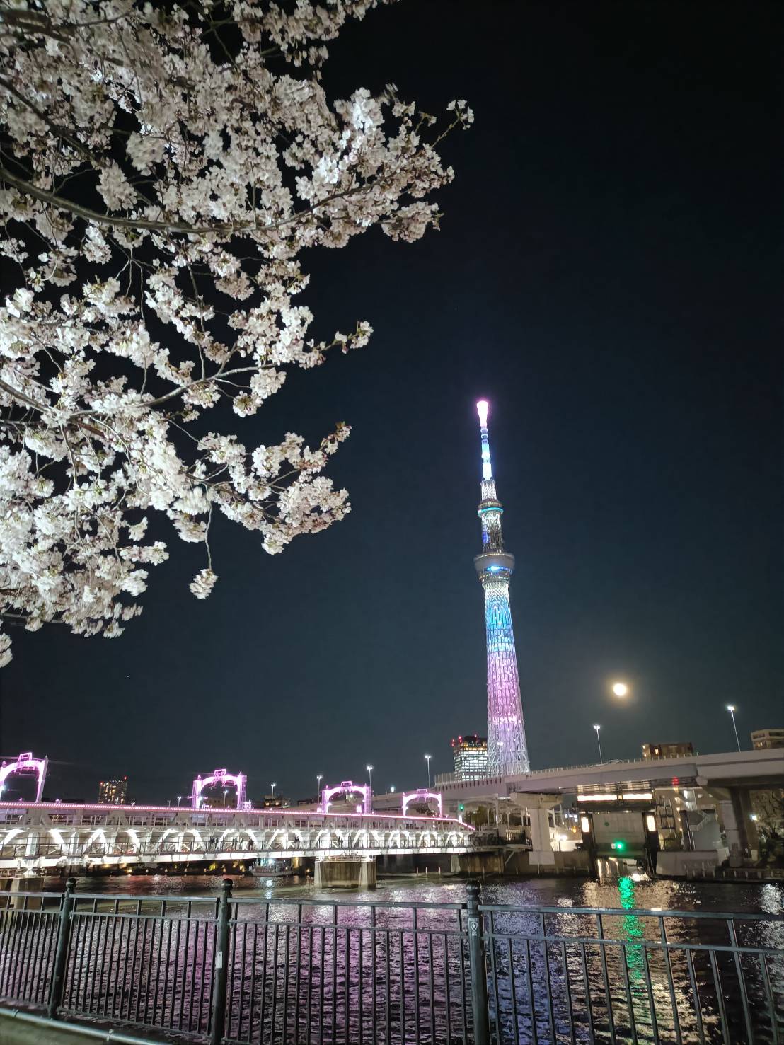 tokyo night view